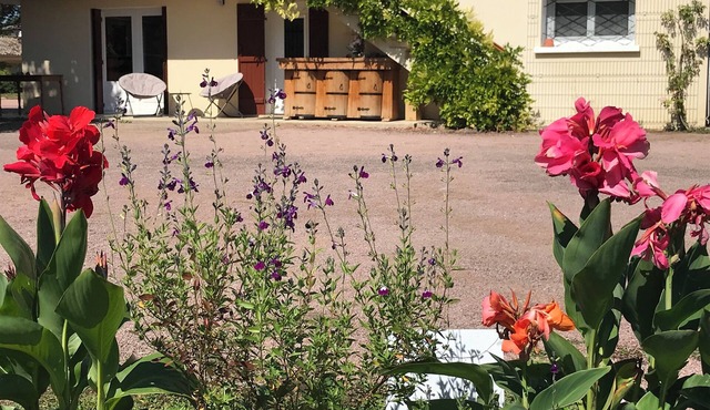 Quiet cottage with garden, parking. everything you need to relax!