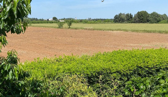 Quiet garden apartment in petite camargue