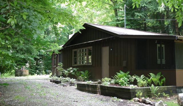 Quiet Getaway Cabin Near Ohiopyle and Seven Springs on a mountain stream.
