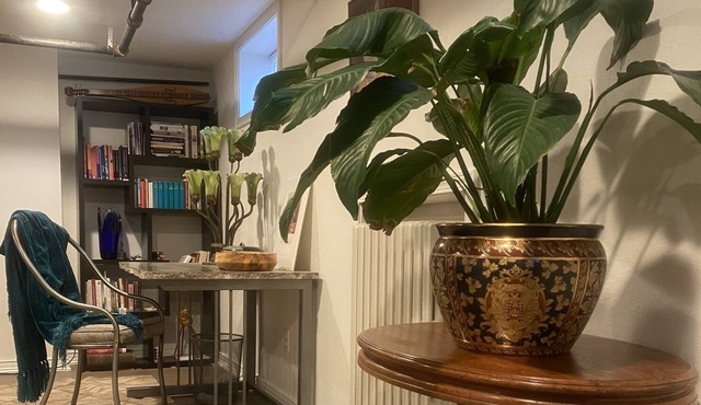 Quiet Haven in Historic Neighborhood