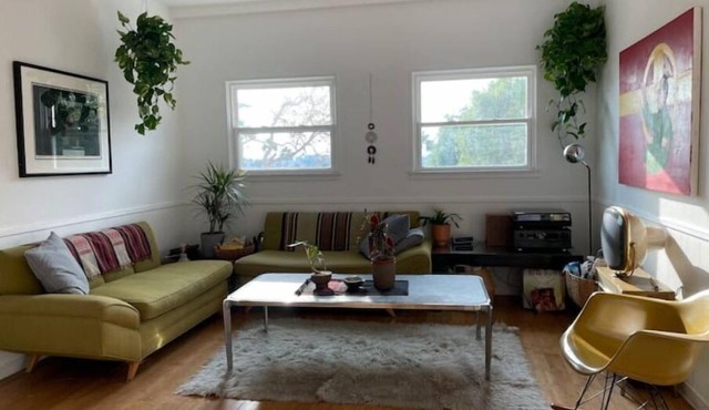 Quiet Hillside Plant+Art filled home. PANORAMIC VIEWS! PRIVATE large BACKYARD