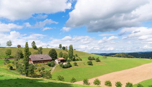 Quiet holiday flat in the countryside and with mountain views