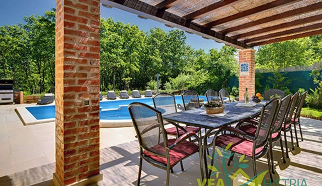Quiet holiday house with large pool on the outskirts of Rezanci