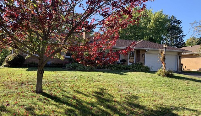 Quiet Home near paths and parks