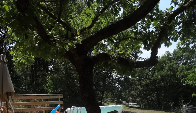 Quiet house and pool in Drôme Provencale