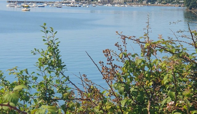 Quiet house in the countryside near the sea