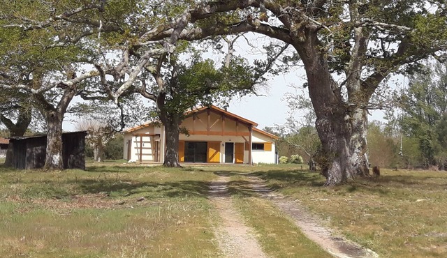 Quiet house between forest, lake and ocean