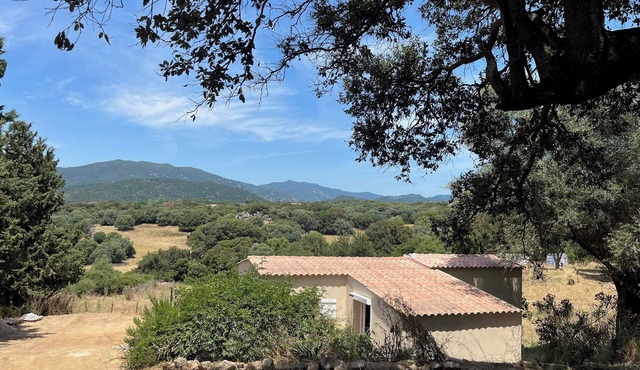 Quiet house in Filitosa