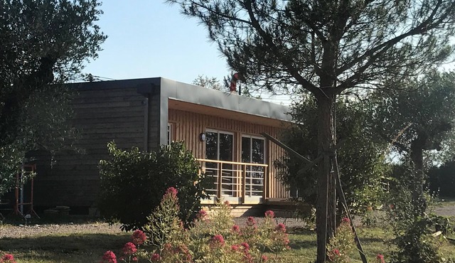 Quiet house in the countryside with swimming pool, many hiking trails