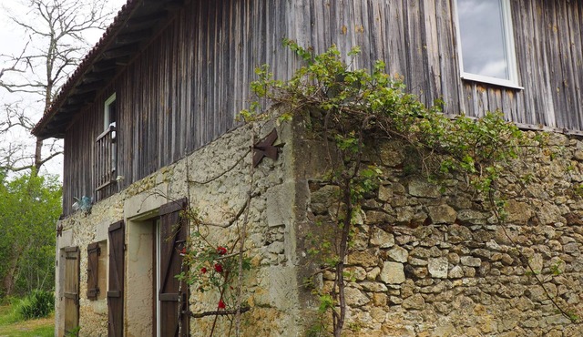 Quiet house in the heart of the Landes de Gascogne forest