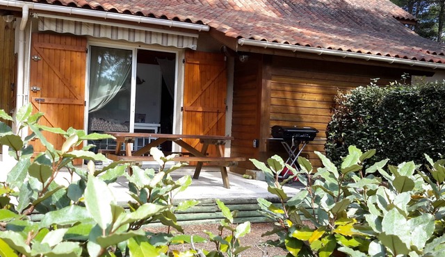 quiet house in the heart of the pine forest in pedestrian area. Near beaches