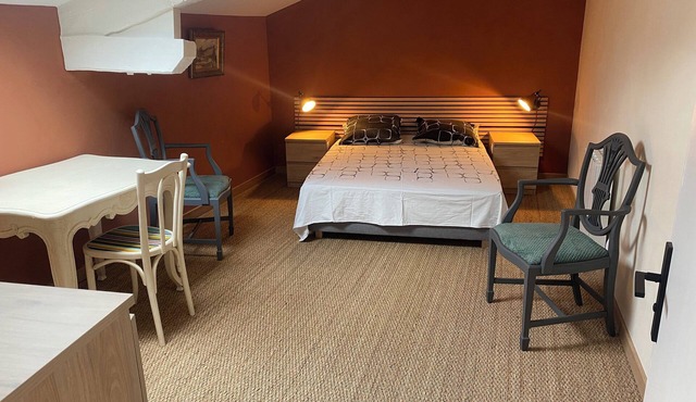 Quiet house surrounded by vineyards and overlooking the château.