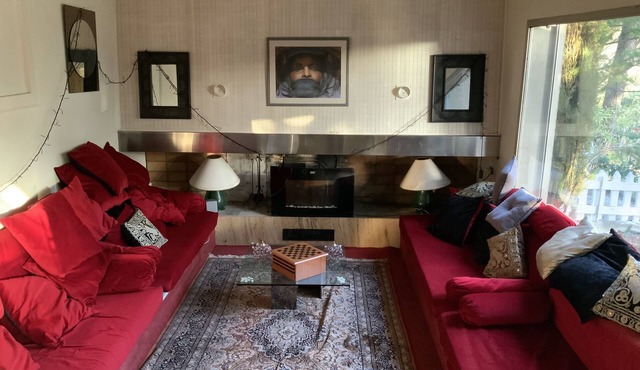 Quiet house under the pines near Limoux center