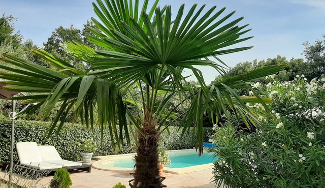 Quiet house, walks, swimming pool, Verdon lake, Provence village.