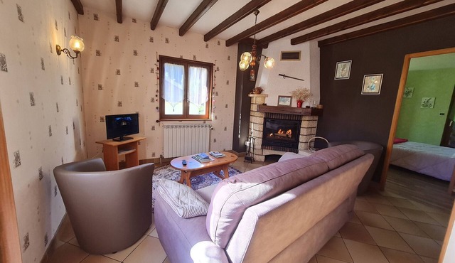 Quiet house with fireplace near Gérardmer