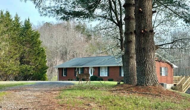 Quiet Lakeside Retreat - Dog Friendly!