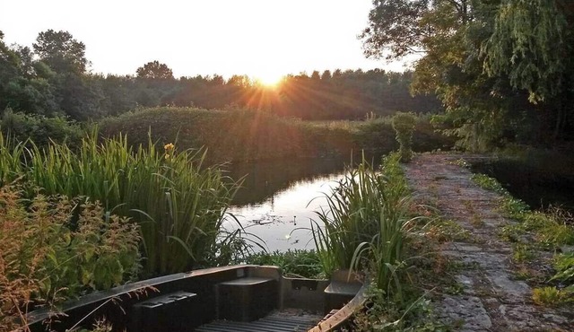 Quiet location by the river in unspoiled nature