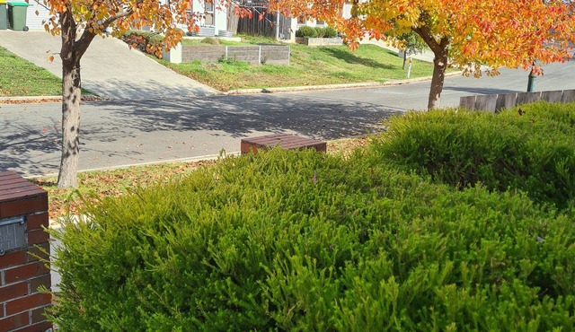 quiet location on a creek back door. amongst the cockatoos, n parrots.
