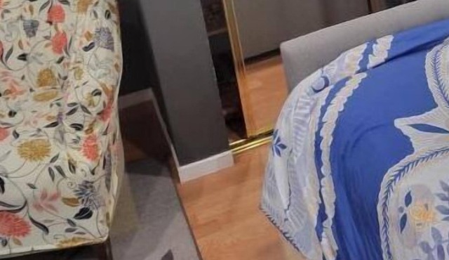 Quiet & mountains little guesthouse all nurses welcome 2. wheelchair available 2
