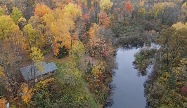 Quiet nature cabin on the beautiful Marengo River