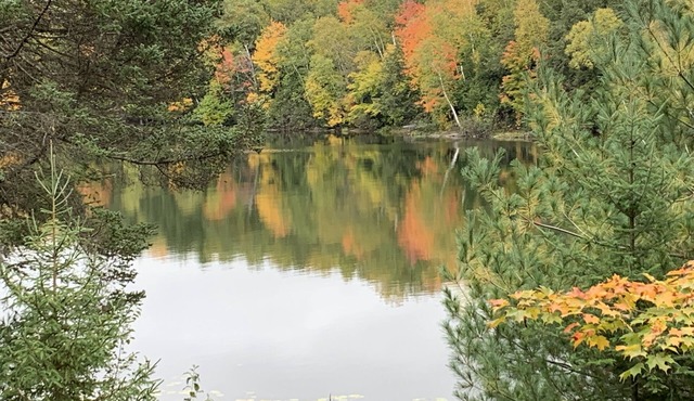 Quiet, peaceful cottage on the lake