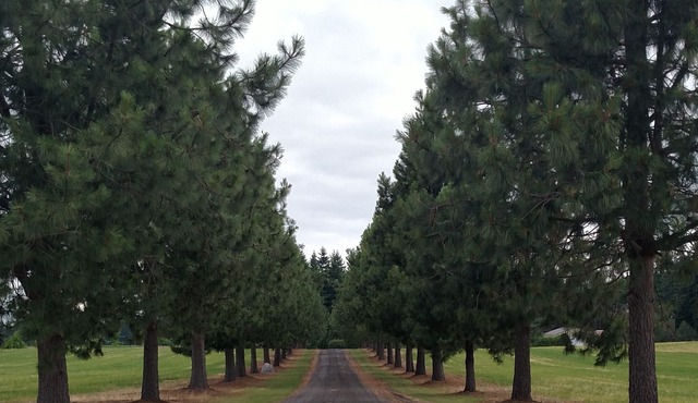 Quiet-Peaceful-Relaxing Country Setting