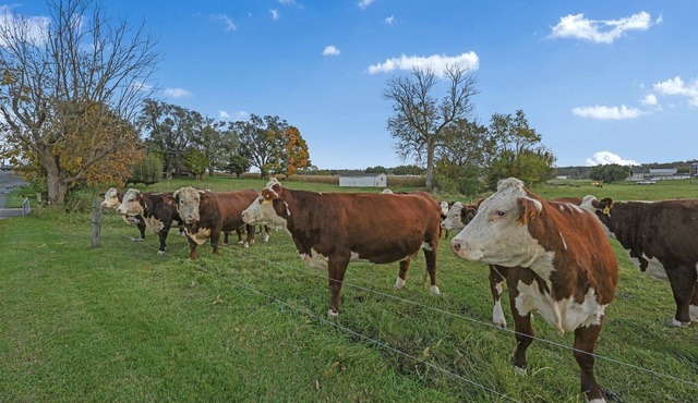 Quiet, private apartment on a 160-year-old farm. Attractions within 5 miles.