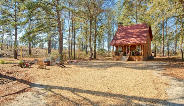 Quiet, Private Lodge with Loft, 2 Beds & Fireplace