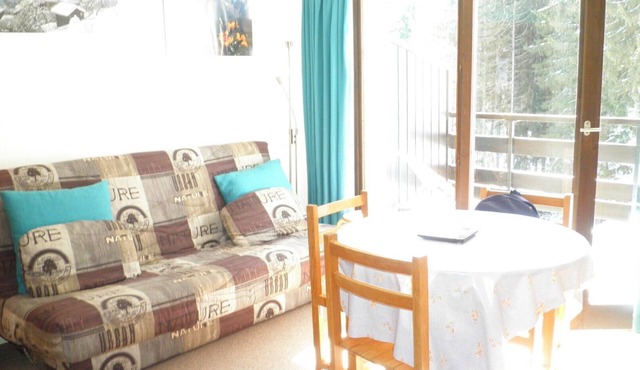 Quiet rental with view of Mont Blanc - 4 people