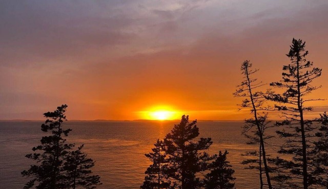 Quiet refuge overlooking Jericho Bay