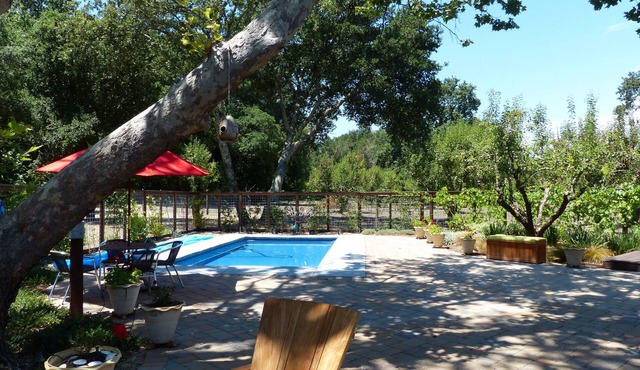 Quiet & Relaxing Cottage Nestled Next To an Orchard Minutes to Town Square