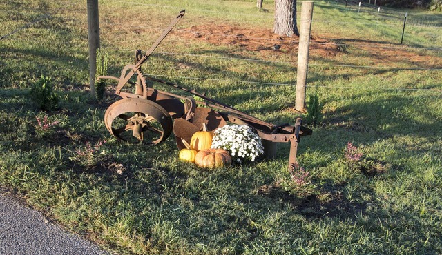 Quiet, Relaxing Rural Retreat, Panoramic Views