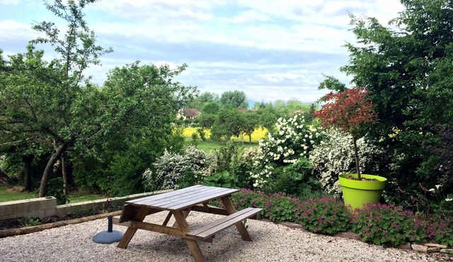 Quiet rental in small village