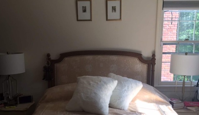 Quiet restful sunny with new marble bathroom and luxury queen mattress.