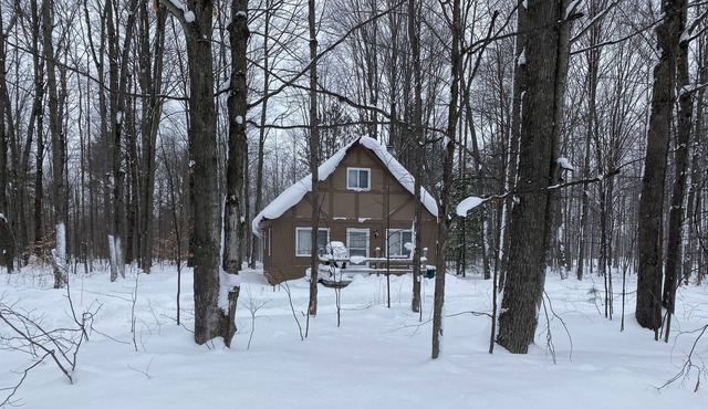 Quiet Romantic Cabin - Pet Friendly