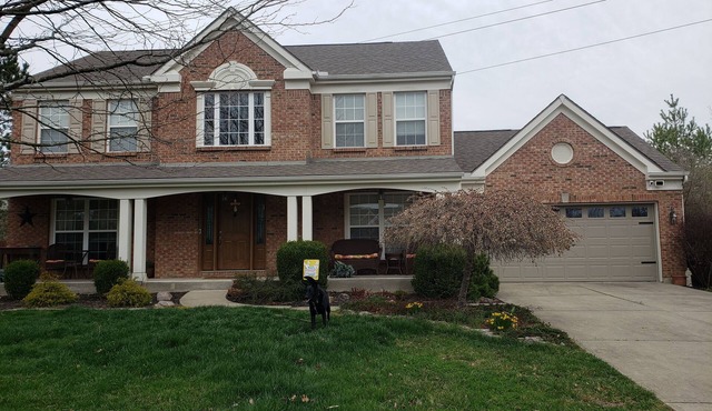 Quiet, Roomy, Private Studio, Beautiful view.