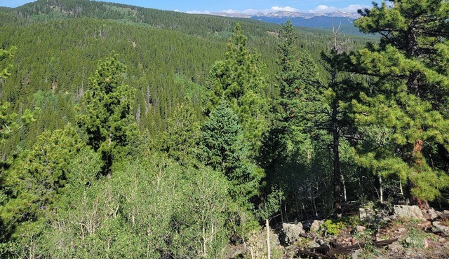 Quiet, Rural, Colorado Mountains Campground