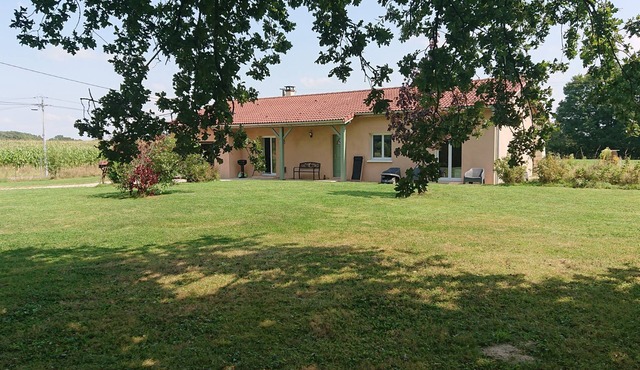 Quiet, single-storey house in the countryside