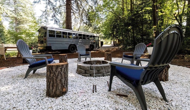 Quiet Skoolie in the Woods