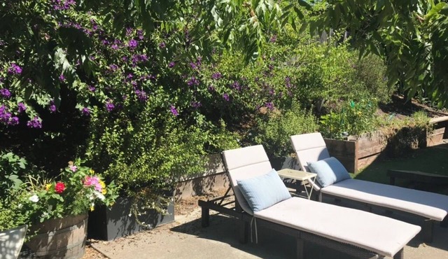 Quiet Sonoma Home - Close to Bike Path