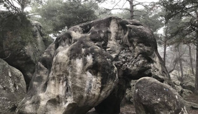 Quiet, spacious homes with Jacuzzi