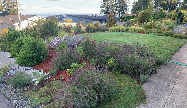 Quiet, Spacious, Private top floor waterview