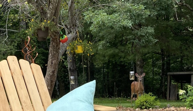 Quiet, tranquil and peaceful setting just steps from the Blue Ridge Parkway