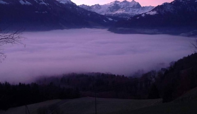 Quiet Turnacher holiday flat on the Sonnenberg
