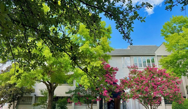 Quiet Uptown 2BR/2BTH Condo, Gated, Walkable, Comfy Beds, Covered Parking