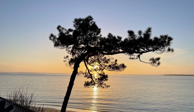 Quiet villa between Cap Ferret and Arcachon