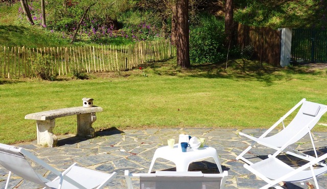 Quiet villa in the forest