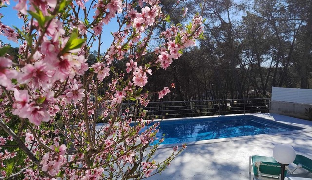 Quiet Villa in the Heart of Garraf National Park
