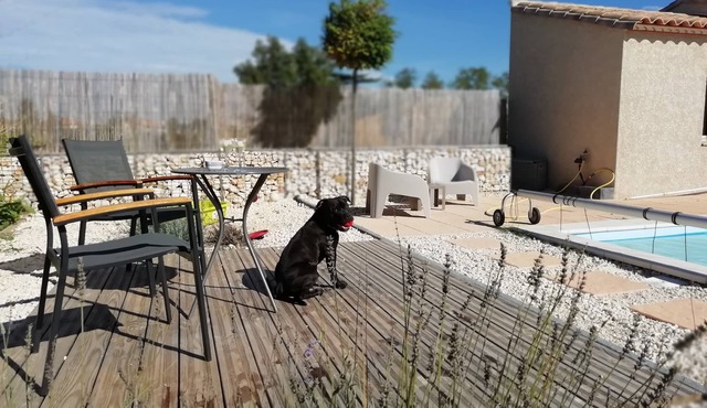 Quiet villa, private pool, fully fenced grounds (pets welcome).