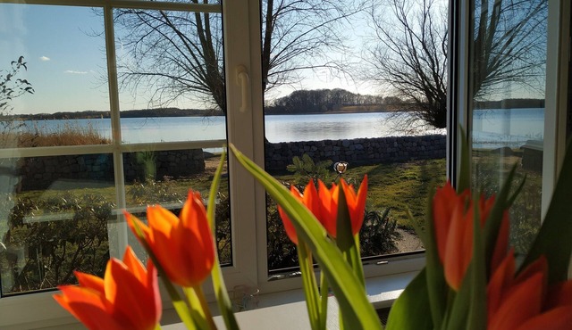 Quietly situated house directly on the lake (Schaalsee, Lübeck), three rooms, two bathrooms, 80 m² in Klocksdorf